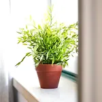 Apartment Casinhas Da Liberdade I - 1 Min To The