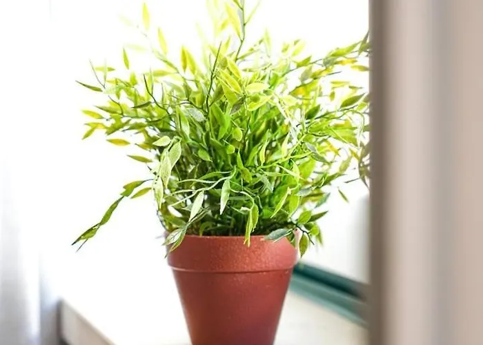 Lejlighed Casinhas Da Liberdade I - 1 Min To The